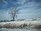 energy  windmill. Taken 12-17-2009 western  iowa by connie  allen.