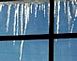 	

Icicles shining in the sun 