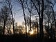 Sunrise in the backyard !. Taken Feb  Backyard by John J. Dalsing.