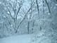 Winter has come. Taken 12-09-09 Dubuque by Peggy Driscoll.