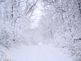 Snow covered road. Taken 12-09-09 Dubuque by Peggy Driscoll.