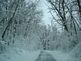 snow covered road. Taken 12-09-09 Dubuque by Peggy Driscoll.