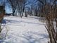 Deer tracks in the snow. Taken 2-13-10 Dubuque by Peggy Driscoll.