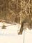 Squirrel on birdfeeder. Taken 12-20-09 Backyard by Peggy Driscoll.