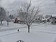 Snow covered city tree taken after a December 2009 storm. Taken by WMarie.