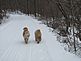 Josie & Cade. Taken January, 2010 Heritage Trail by Deb Kueter.