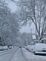 Winter Wonderland. Taken 8:00 a.m. on 12/9/09 Jackson Street by Karen.