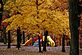 Fall Foliage. Taken Oct 2009 Eagle Point Park by Lori.