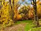 A welcoming path surrounded by fall colors. Taken in October  South of Dubuque on 52 by Lorlee Servin.